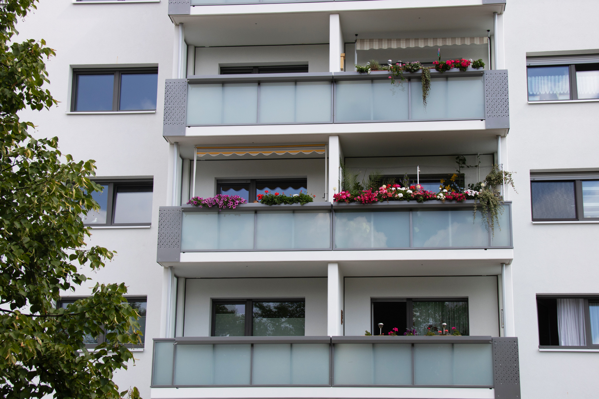 Ausschnitt hellgrauer Wohnblock mit Fenster und Balkonen - auf drei Balkonen blühen Blumen - Barrierearme Seniorenwohnungen in Halle (Saale)