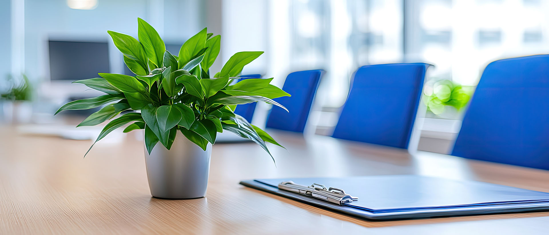 Konferenzraum mit blauen Stühlen und Grünpflanze auf Holztisch
