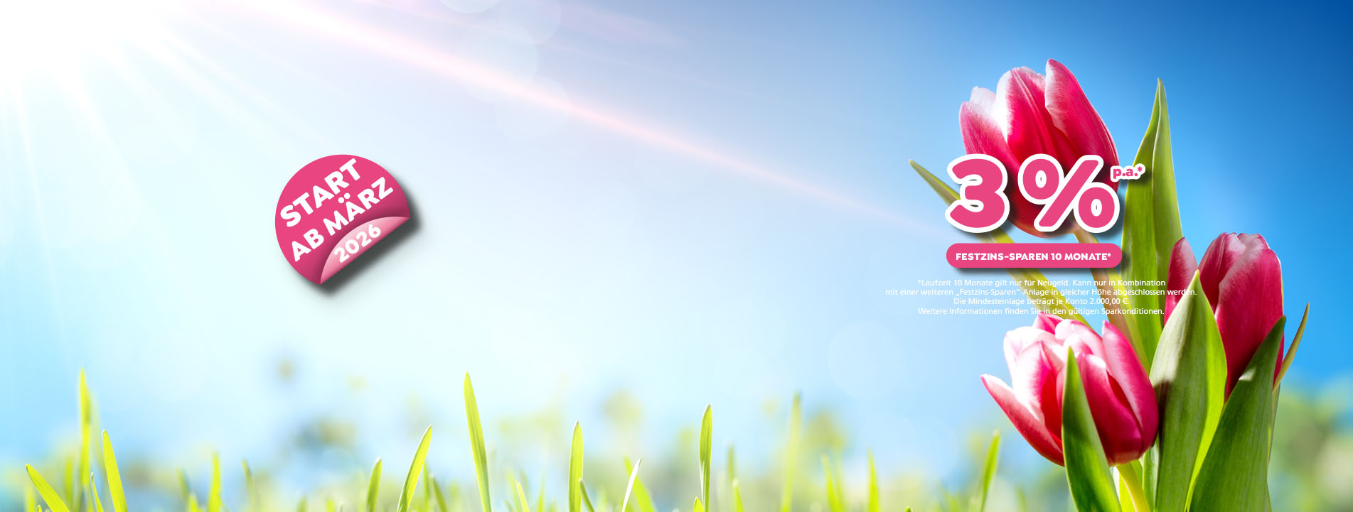 Header Frühlings-Zins-Offensive ab März 2026 mit bis zu 3 % Zinsen p.a. für 10 Monate. Es gelten die aktuellen Sparkonditionen.