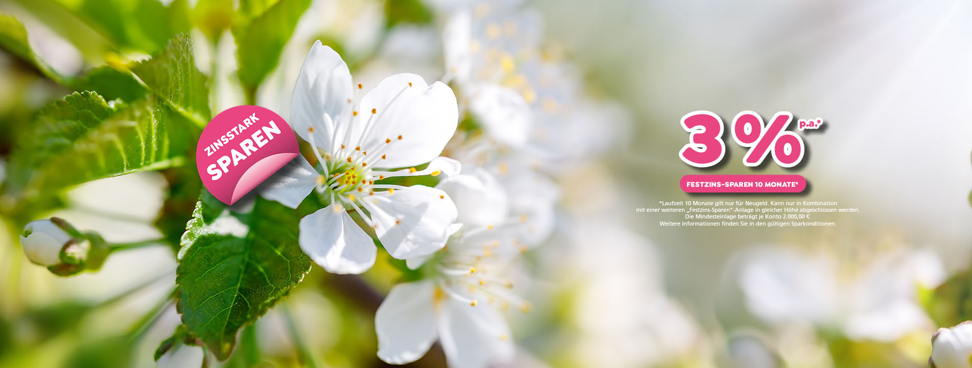 Header Frühlings-Zins-Offensive mit bis zu 3 % Zinsen p.a. für 10 Monate. Es gelten die aktuellen Sparkonditionen.