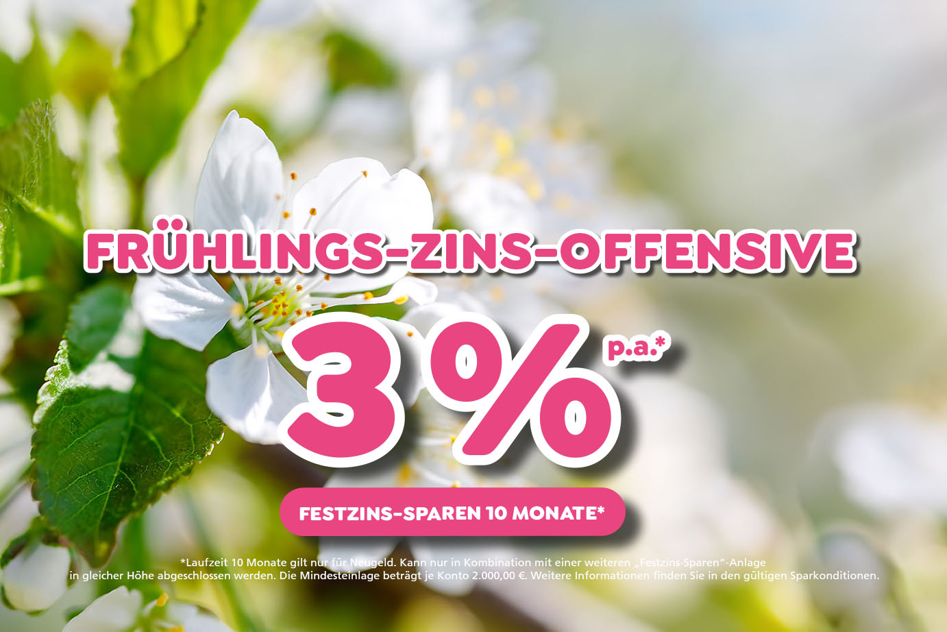 Teaser Frühlings-Zins-Offensive mit bis zu 3 % Zinsen p.a. für 10 Monate. Es gelten die aktuellen Sparkonditionen.