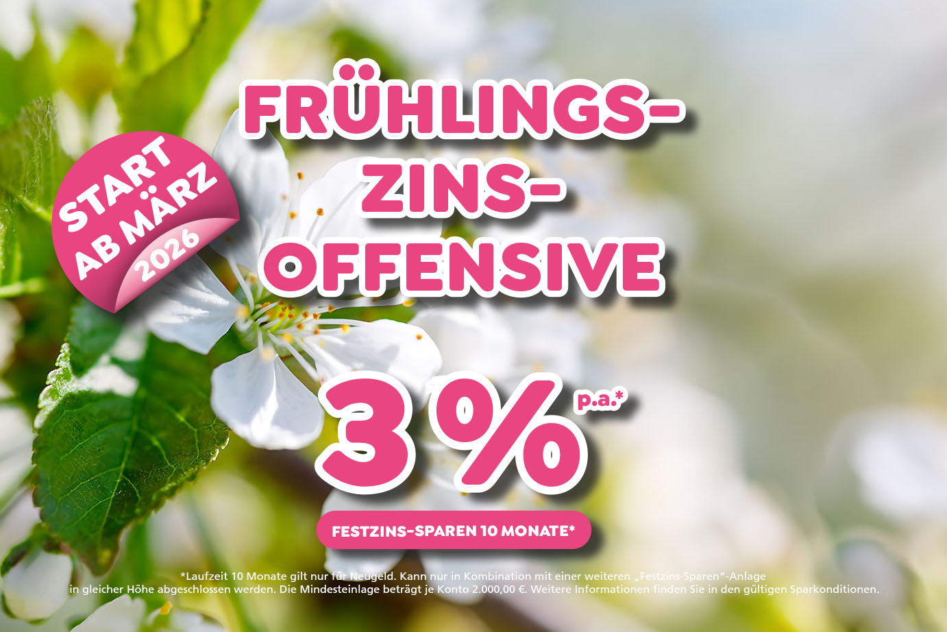Teaser Frühlings-Zins-Offensive mit bis zu 3 % Zinsen p.a. für 10 Monate. Es gelten die aktuellen Sparkonditionen.